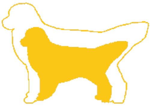 GoldenQuest Comfort Retrievers
